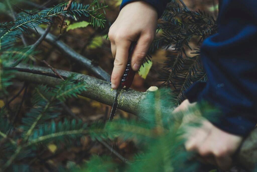 Essential Survival Skills for Outdoor Enthusiasts: Misadventures in the Great Outdoors Essential Survival Skills for Outdoor Enthusiasts: Misadventures in the Great Outdoors