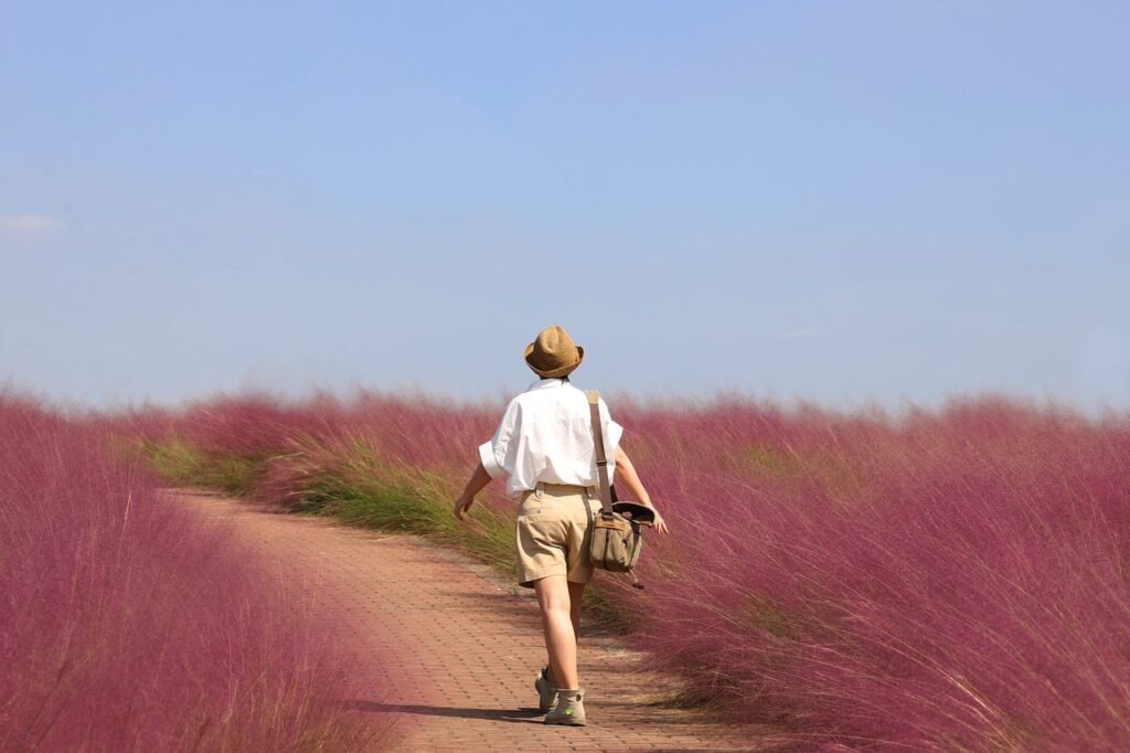 Exploring the Unexpected Joys of Top National Parks Exploring the Unexpected Joys of Top National Parks