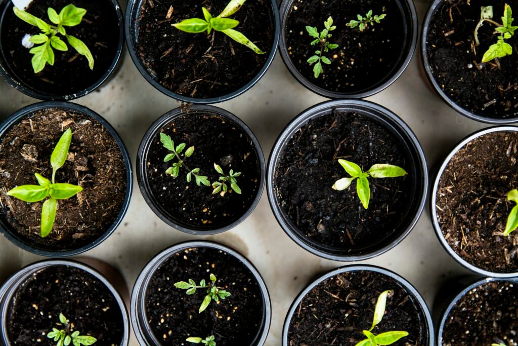 How Much Does It Cost To Maintain A Green House? How Much Does It Cost To Maintain A Green House?