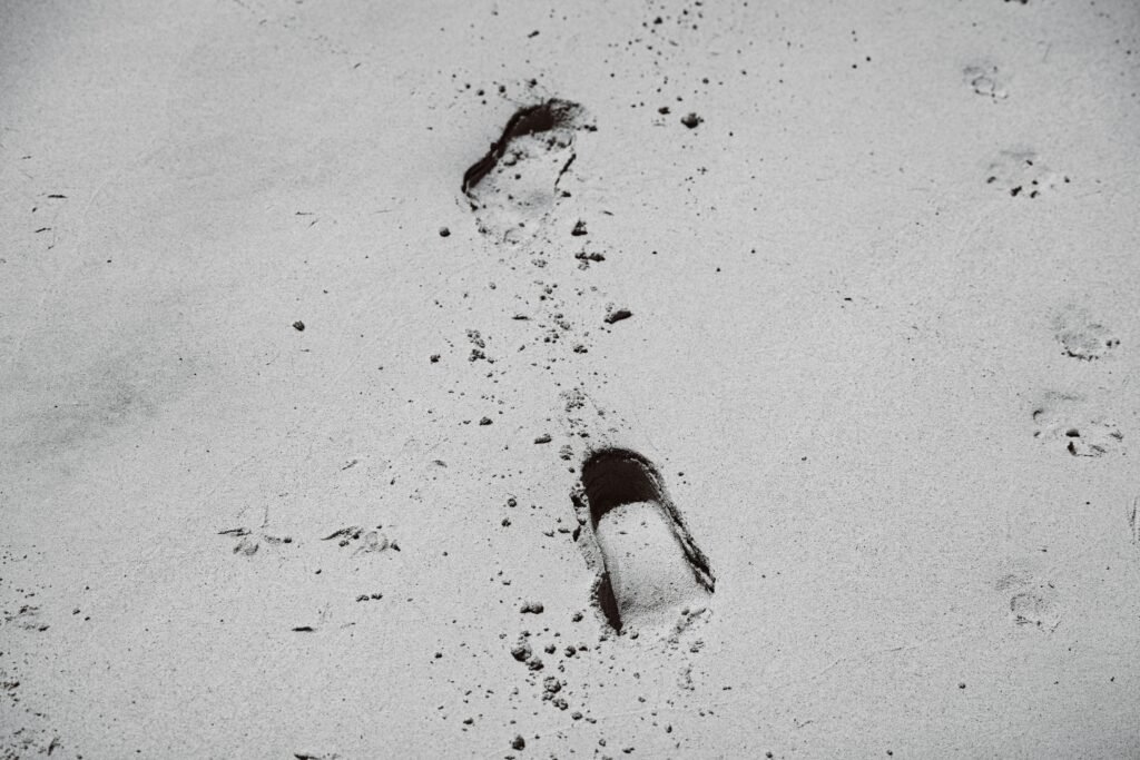 Leave No Trace Principles: Protecting the Environment with a Twist of Humor Leave No Trace Principles: Protecting the Environment with a Twist of Humor