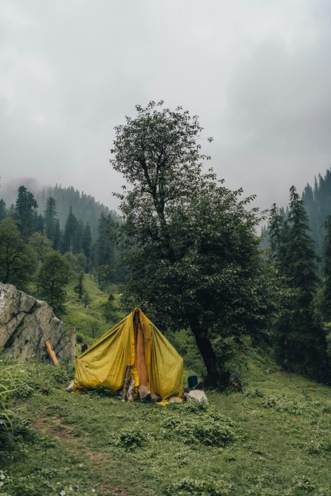 The Ins and Outs of Choosing Camping Gear Without Losing Your Sanity The Ins and Outs of Choosing Camping Gear Without Losing Your Sanity