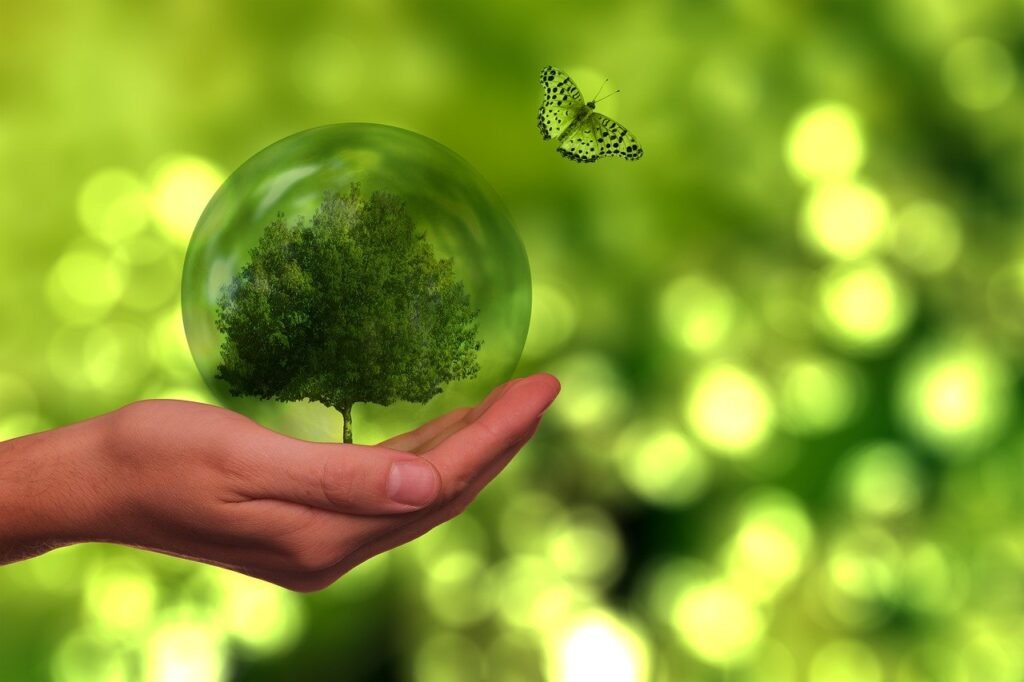Why Do People Build Green Homes? Why Do People Build Green Homes?